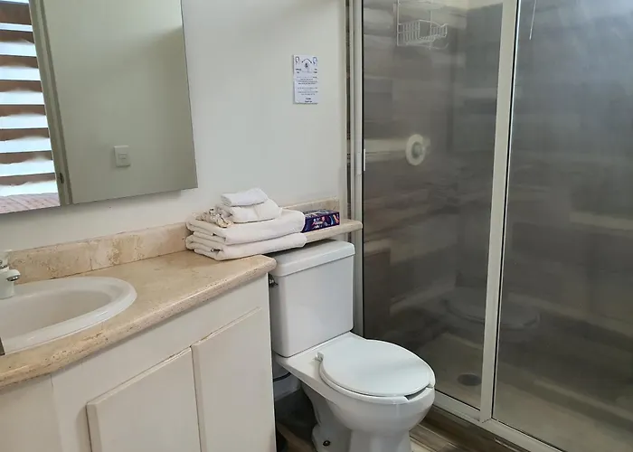 Lujoso Penthouse En La Roma Apartamento